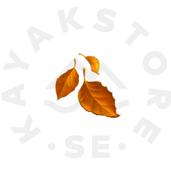 Höstens kalla vatten 🍂
