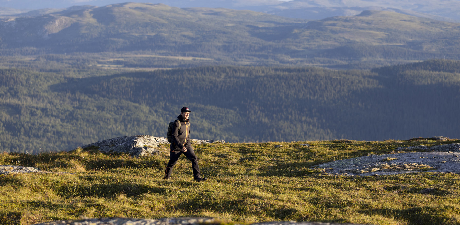 Pinewood guide – gör dig redo för en dag i naturen