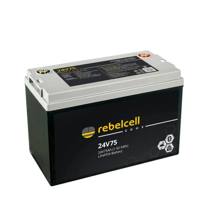 KS REBELCELL