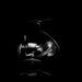 Daiwa 24 Certate G haspelrulle, bild 3