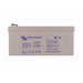 Victron Energy AGM Deep Cycle batteri 12V/220Ah, produktbild