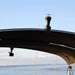 Railblaza Bimini RailMount kayakstora.com