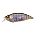 Megabass Big-M 2.0 Gillkko