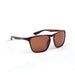 Shimano Eyewear Ultegra Tortoiseshell / Copper