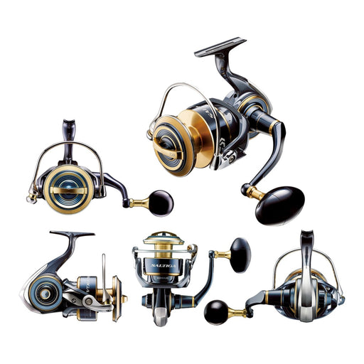 Daiwa 20 Saltiga G havsfiskerulle, bild 2