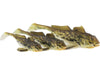 Westin Gunnar The Goby R2F