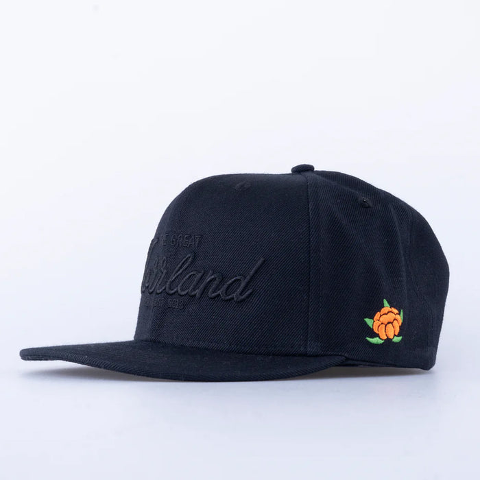 SQRTN Great Norrland Keps All Black, bild 2